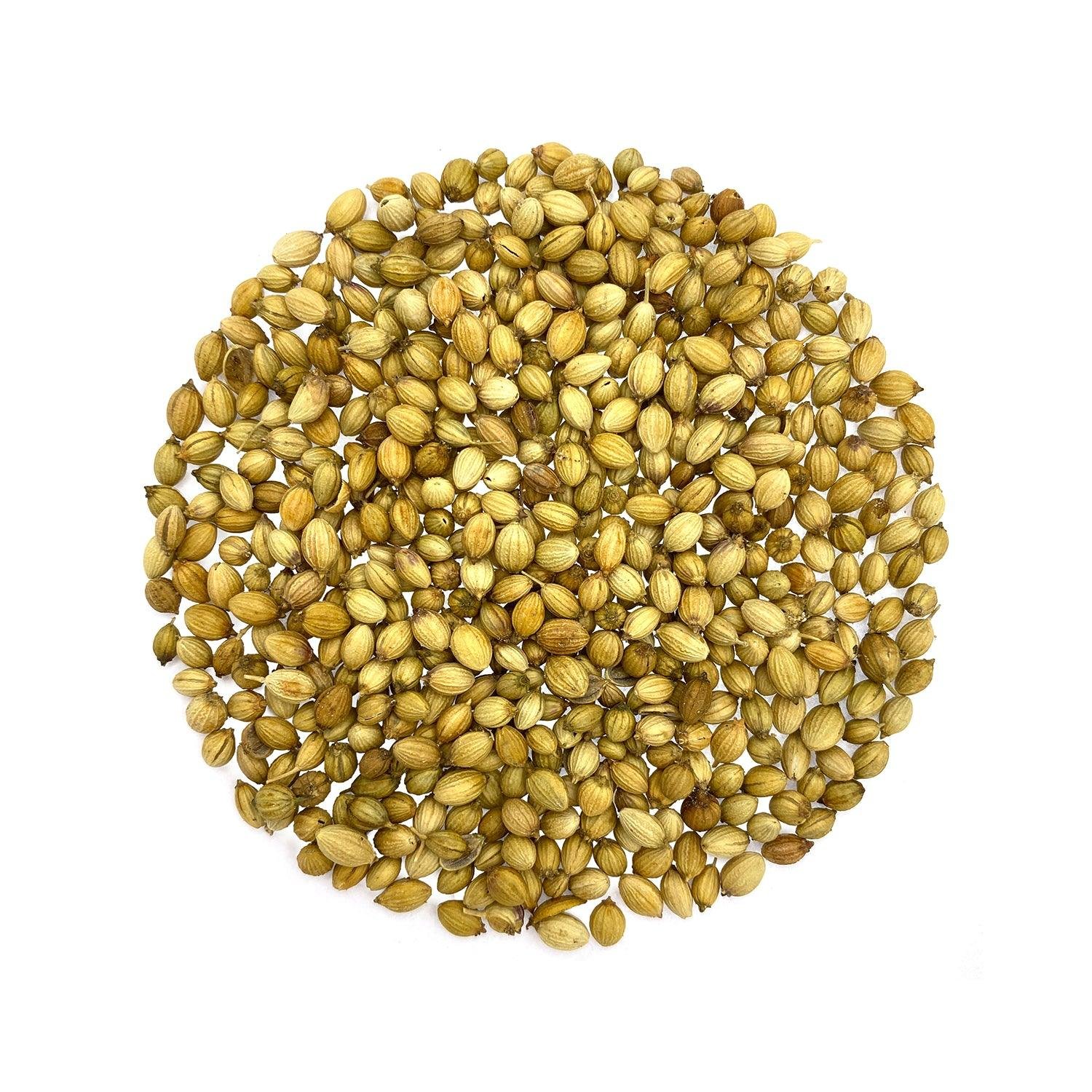 Coriander - Dev Tandoor Industries
